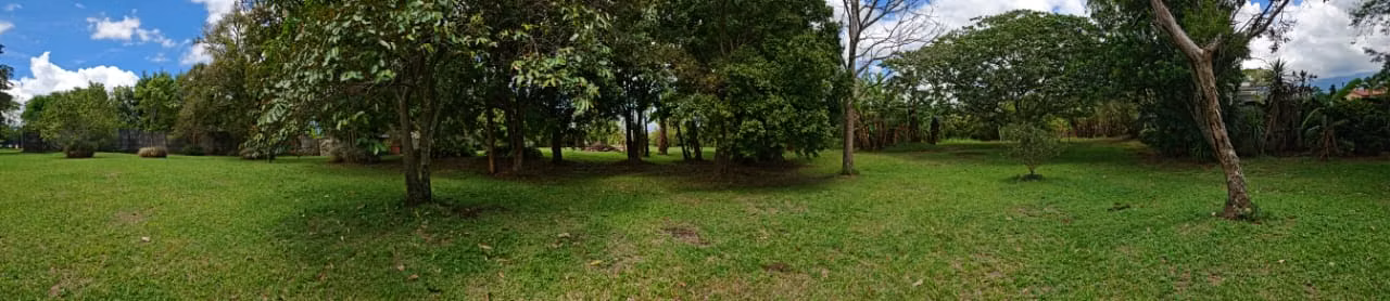 SE VENDE HERMOSOS LOTES EN SAN JOAQUIN DE HEREDIA