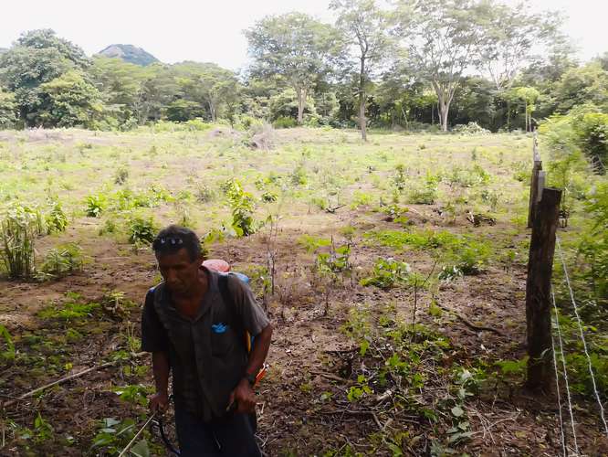 Lote para la venta en Guanacaste Carrillo - Imagen 4