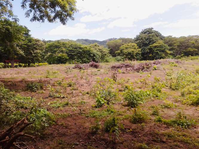 Lote para la venta en Guanacaste Carrillo - Imagen 7