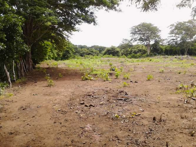 Lote para la venta en Guanacaste Carrillo - Imagen 6