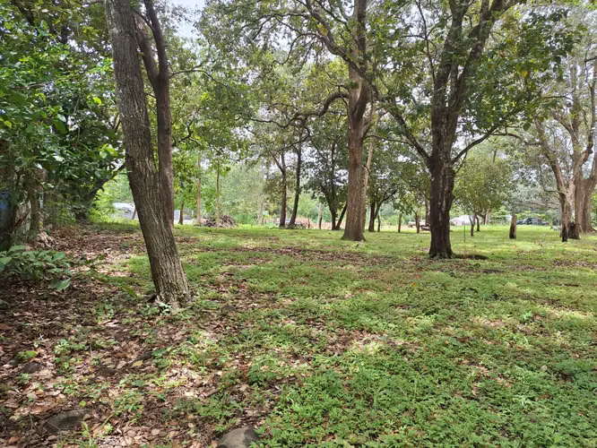 VENTA DE TERRENO  COSTA RICA GUANACASTE LIBERIA. - Imagen 4