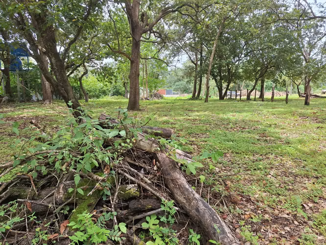 VENTA DE TERRENO  COSTA RICA GUANACASTE LIBERIA. - Imagen 7