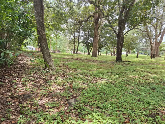 VENTA DE TERRENO  COSTA RICA GUANACASTE LIBERIA. - Imagen 3