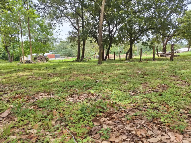 VENTA DE TERRENO  COSTA RICA GUANACASTE LIBERIA. - Imagen 2