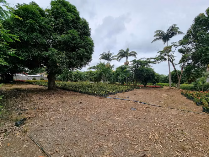AMPLIO LOTE EN VENTA EN LA GARITA DE ALAJUELA - Imagen 5