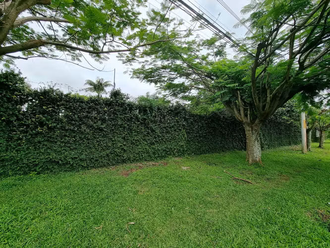 AMPLIO LOTE EN VENTA EN LA GARITA DE ALAJUELA - Imagen 4