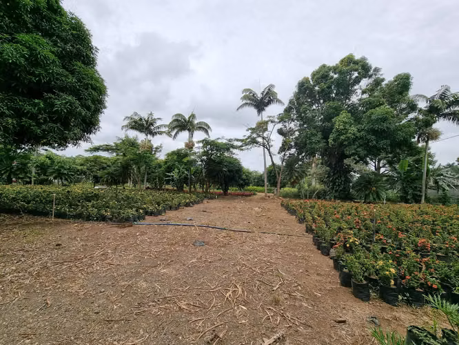AMPLIO LOTE EN VENTA EN LA GARITA DE ALAJUELA - Imagen 6