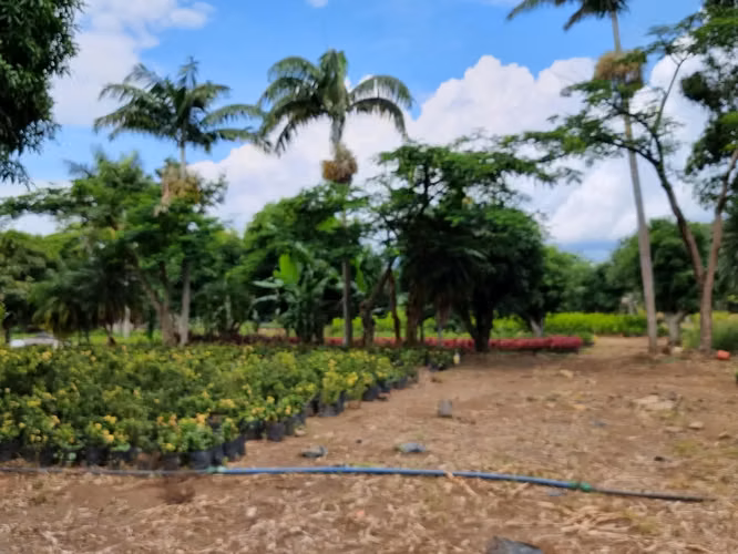 AMPLIO LOTE EN VENTA EN LA GARITA DE ALAJUELA - Imagen 8