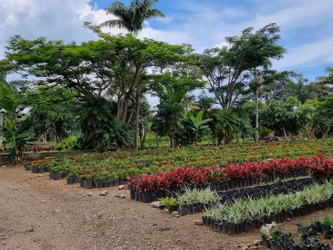 AMPLIO LOTE EN VENTA EN LA GARITA DE ALAJUELA - Imagen 9