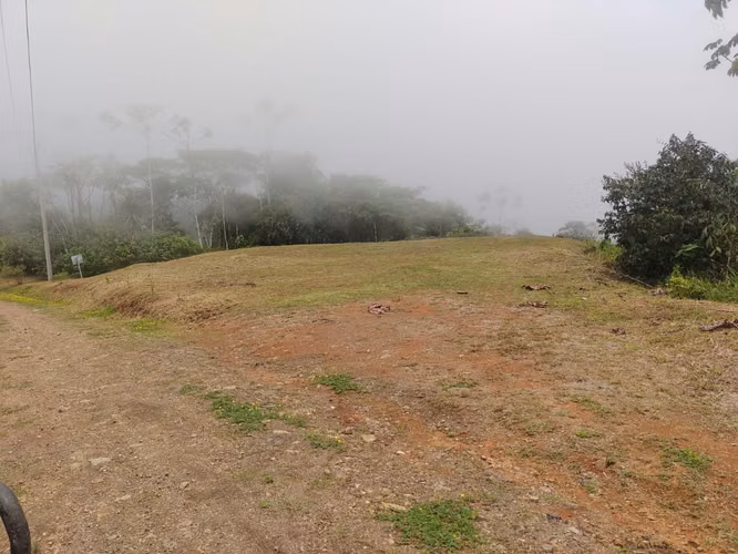 INVERSIONISTAS. VENTA FINCA OJOCHAL OSA PUNTARENAS - Imagen 5
