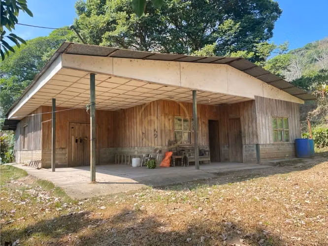 Venta de Finca cultivo de Café en Atenas - Imagen 6