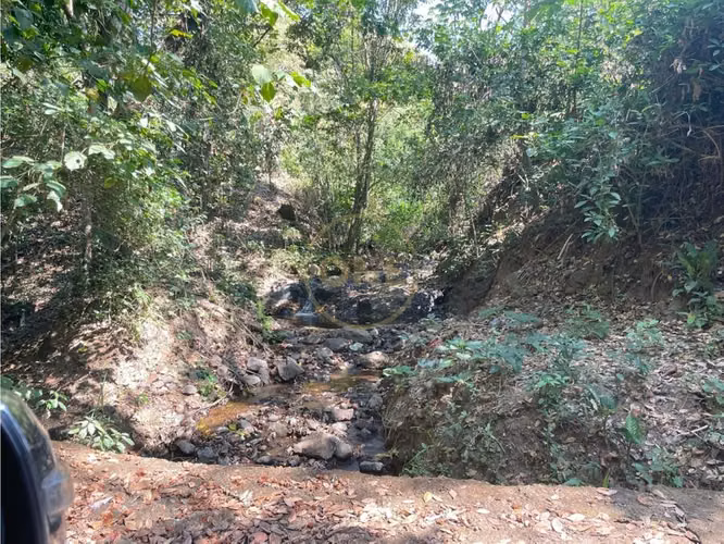 Venta de Finca cultivo de Café en Atenas - Imagen 2