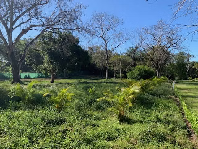 Se venden QUINTAS EN EL CENTRO DE MIRAMAR PUNTARENAS