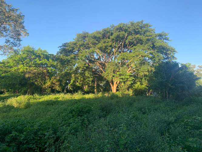 Se venden QUINTAS EN EL CENTRO DE MIRAMAR PUNTARENAS