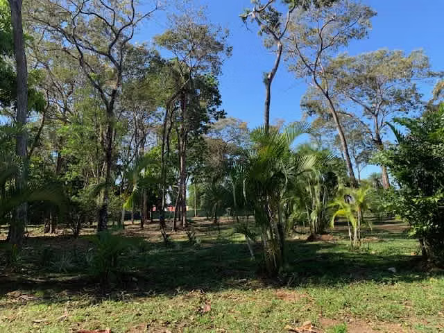 Se venden QUINTAS EN EL CENTRO DE MIRAMAR PUNTARENAS