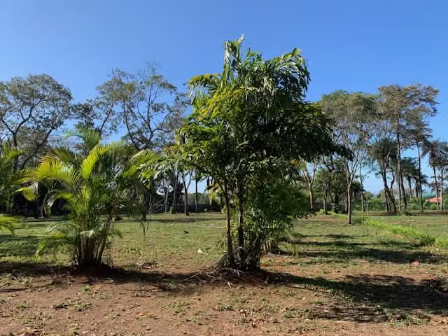 Se venden QUINTAS EN EL CENTRO DE MIRAMAR PUNTARENAS