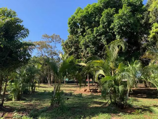 Se venden QUINTAS EN EL CENTRO DE MIRAMAR PUNTARENAS
