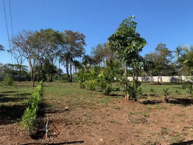 Se venden QUINTAS EN EL CENTRO DE MIRAMAR PUNTARENAS