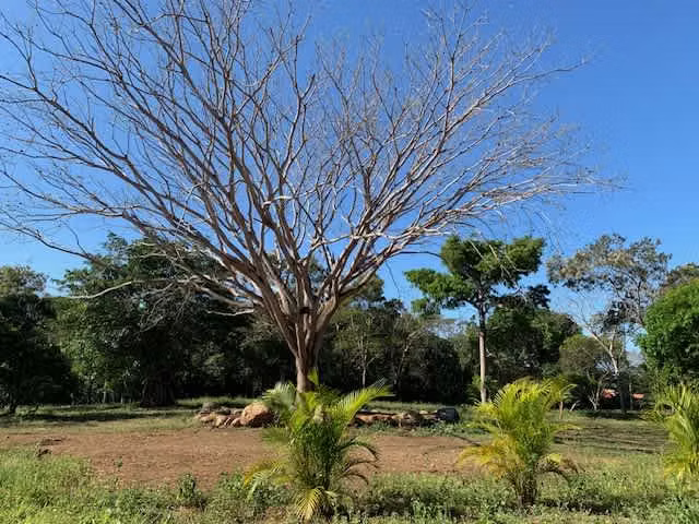 Se venden QUINTAS EN EL CENTRO DE MIRAMAR PUNTARENAS