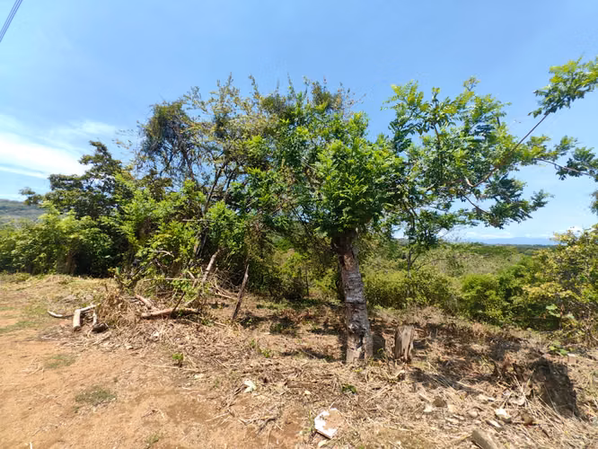 EN VENTA - Lote - En Esparza - Con vista al Golfo de Nicoya - Imagen 3