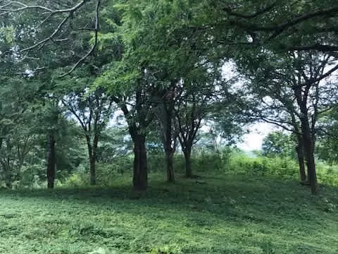 FINCA EN VENTA – PUERTO SOLEY, LA CRUZ DE GUANACASTE