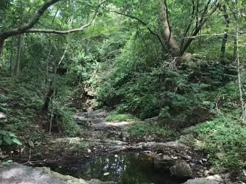 FINCA EN VENTA – PUERTO SOLEY, LA CRUZ DE GUANACASTE