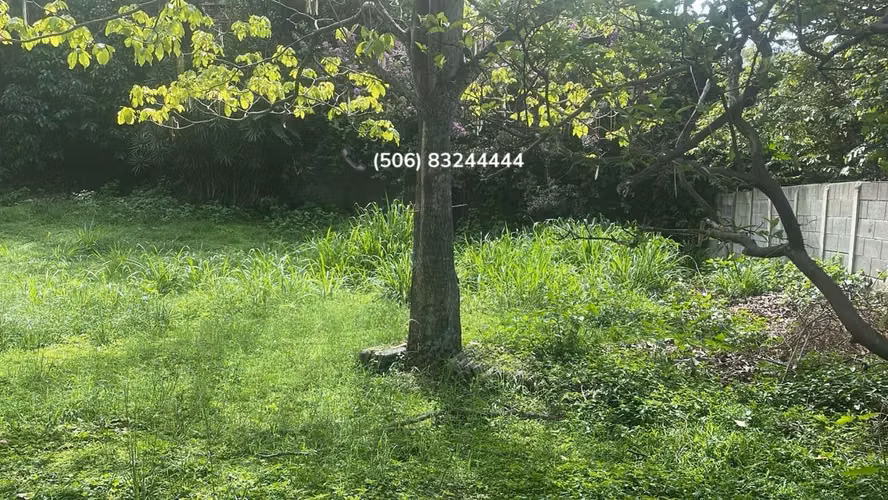 VENTA DE LOTE INDUSTRIAL EN ALAJUELA