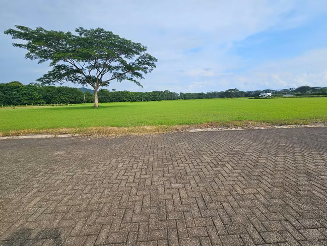 Lote en Venta con Vista al Mar y Montañas Columbus Heights