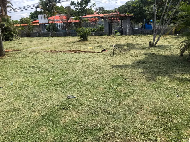 Terreno con casa en venta en Llorente de Flores 16004