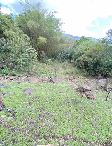 Escazú Se Vende Lote USO MIXTO  Con Excelente Ubicación 4737 metros - Imagen 4