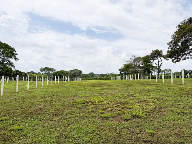 Se venden Terrenos en Lagunillas, Garabito, Puntarenas (MV).