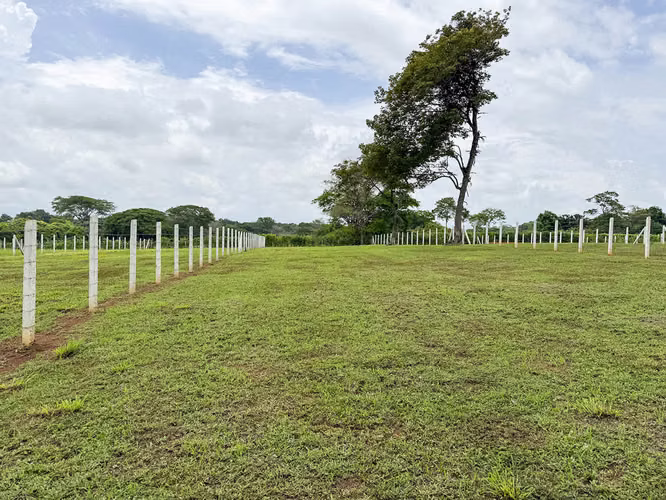 Se venden Terrenos en Lagunillas, Garabito, Puntarenas (MV).