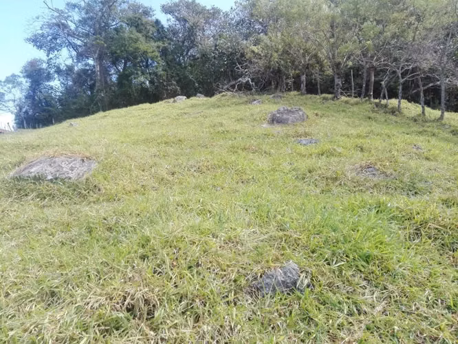 VENTA DE TERRENO EN CIUDAD COLON - Imagen 5