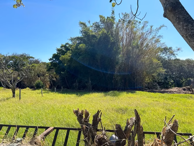 Propiedad para desarrollo residencial o comercial (Alta Densidad)