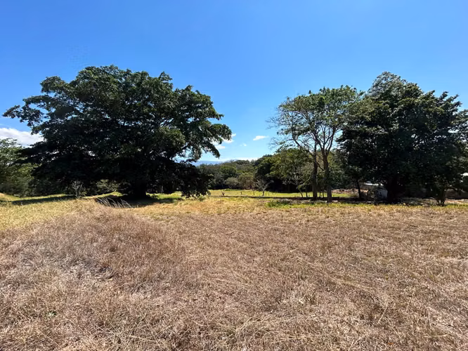 Propiedad para desarrollo residencial o comercial (Alta Densidad)