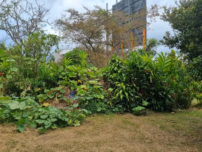 Venta Lote en Zapote, San José | Oportunidad para Inversionistas | Precio Negociable - Imagen 3