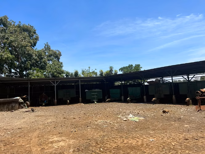 SE VENDE EN GRECIA PROPIEDAD CON PRODUCCIÓN DE CAFÉ 130 HECTAREAS - $20 m2 - Imagen 8