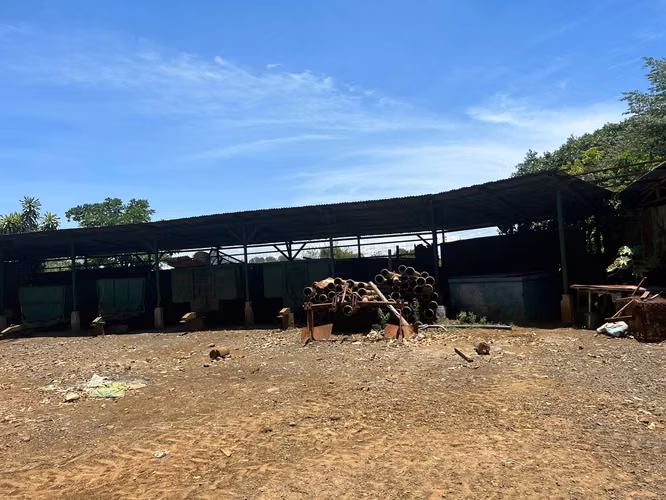 SE VENDE EN GRECIA PROPIEDAD CON PRODUCCIÓN DE CAFÉ 130 HECTAREAS - $20 m2 - Imagen 7