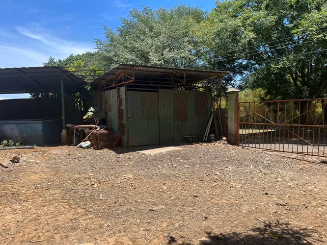 SE VENDE EN GRECIA PROPIEDAD CON PRODUCCIÓN DE CAFÉ 130 HECTAREAS - $20 m2 - Imagen 6