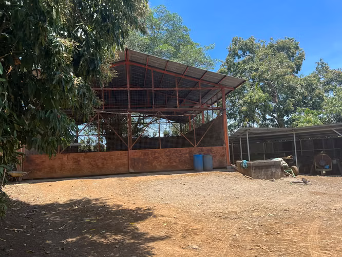 SE VENDE EN GRECIA PROPIEDAD CON PRODUCCIÓN DE CAFÉ 130 HECTAREAS - $20 m2 - Imagen 9