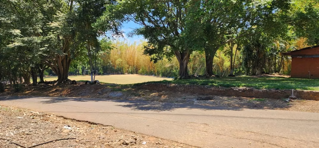 SE VENDE EN GRECIA PROPIEDAD CON PRODUCCIÓN DE CAFÉ 130 HECTAREAS - $20 m2 - Imagen 5