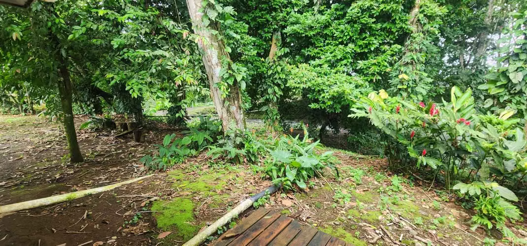 Lote con vistas al volcán Arenal, en Condominio El trapiche  Fortuna