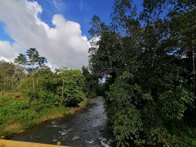 FINCA EN VENTA. 7,8 HECT. PLANA. RIO. DOS RIOS UPALA - Imagen 13