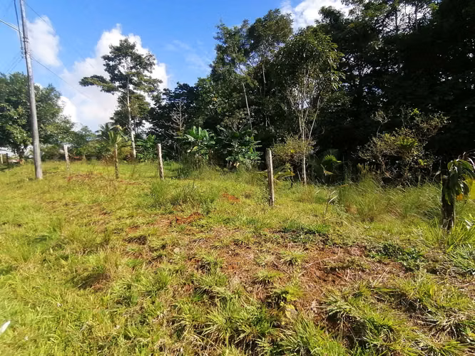FINCA EN VENTA. 7,8 HECT. PLANA. RIO. DOS RIOS UPALA - Imagen 12