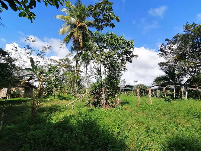 FINCA EN VENTA. 7,8 HECT. PLANA. RIO. DOS RIOS UPALA - Imagen 5