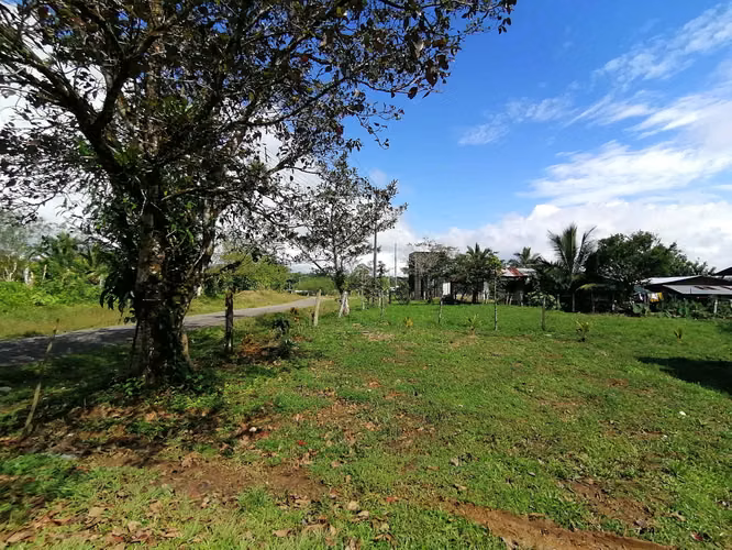 FINCA EN VENTA. 7,8 HECT. PLANA. RIO. DOS RIOS UPALA - Imagen 4