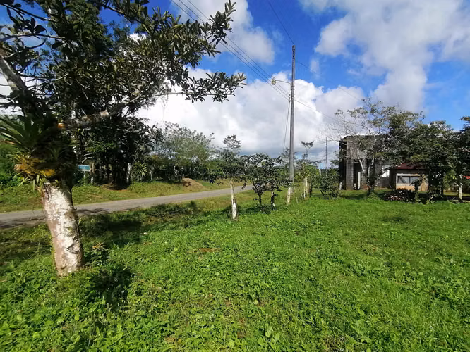 FINCA EN VENTA. 7,8 HECT. PLANA. RIO. DOS RIOS UPALA - Imagen 10