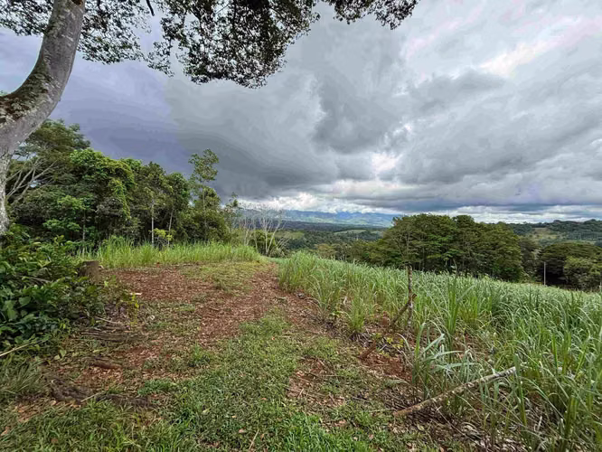 Se Vende Terreno Agrícola en Juntas de Pacuar, Pérez Zeledón