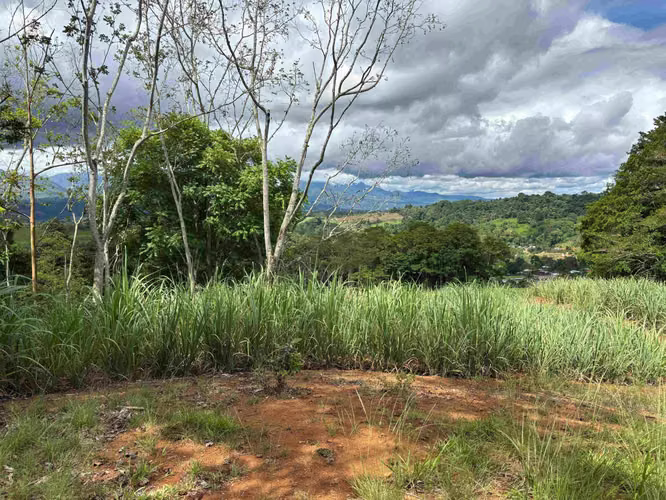 Se Vende Terreno Agrícola en Juntas de Pacuar, Pérez Zeledón
