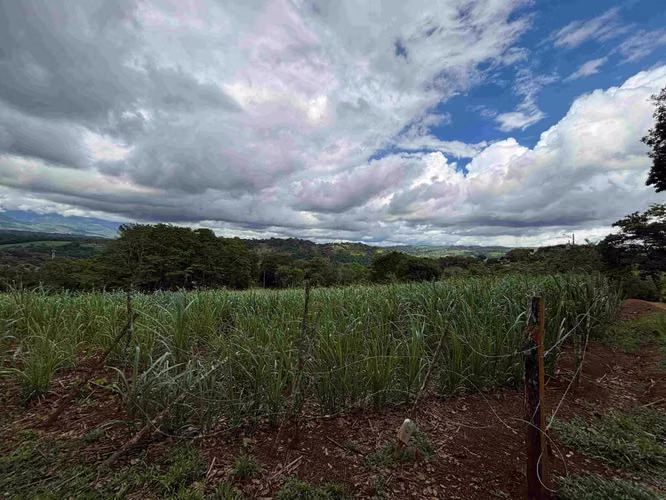 Se Vende Terreno Agrícola en Juntas de Pacuar, Pérez Zeledón